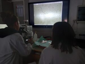 Students working on the micro plastics samples from the local river.