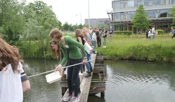 Leerlingen bezig met de waterdiertjestelling
