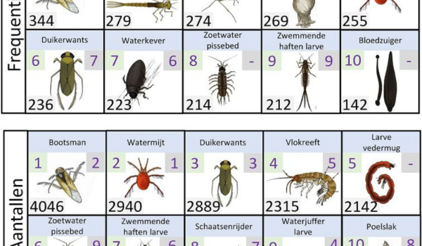 2022 waterdiertjes top 10