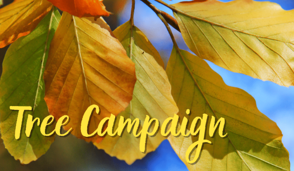 2023 Autumn campaign flyer