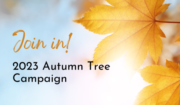 Autumn 2023 campaign