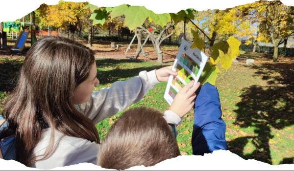 Autumn campagne 2024