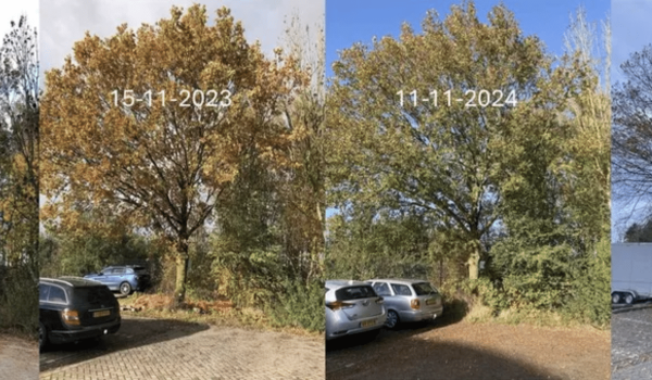 GrowApp - Nature Today