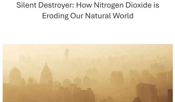 NO2 - Andrew, Daan, Merlijn