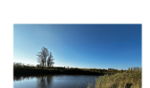 Onderzoeksverslag R.B.