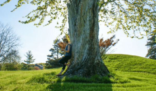 Schermafbeelding 2025-06-24 085813