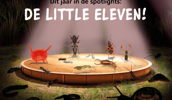 Schermafbeelding 2025-09-04 103046