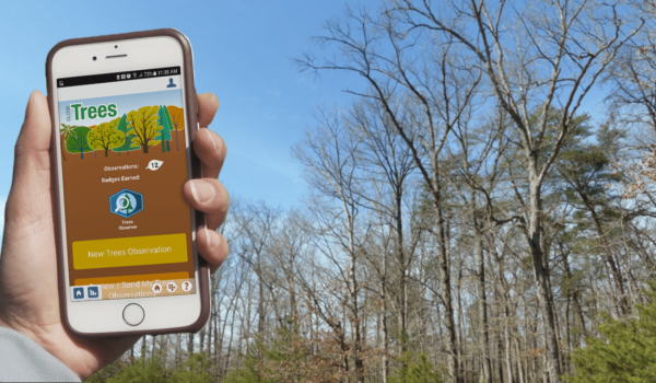 Trees Around the GLOBE (alternatief)