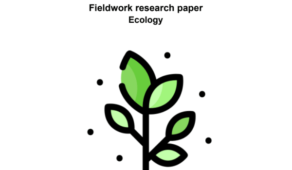 Verslag - Sven, Theije, Isolde, Gijs en Jitske