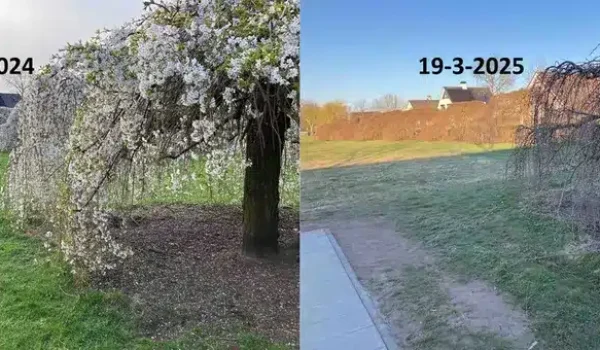 ad173321-245b-423c-8727-a3ef866b7a50