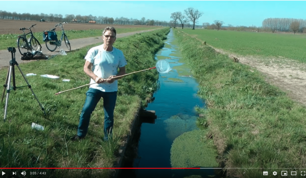 filmpje-Edwin-Peeters