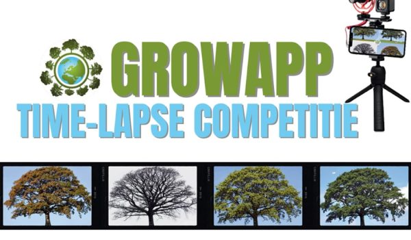growapp competitie