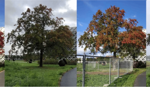 growapp-herfst-2021