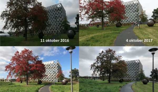 herfst-traag-op-gang