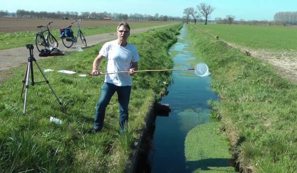 Video Thumbnail: Instructie voor het verzamelen van waterdieren met simpele hulpmiddelen