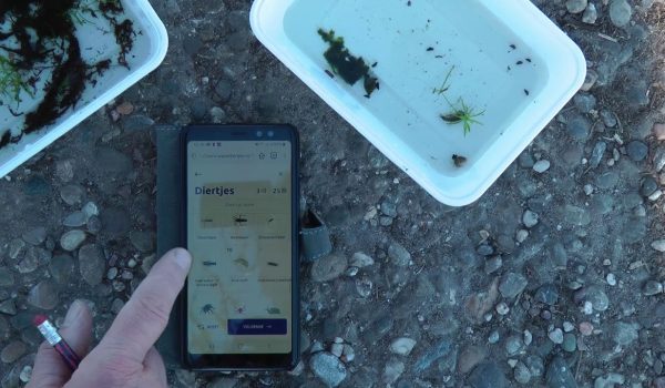 screenshot waterdiertjestelling app telefoon