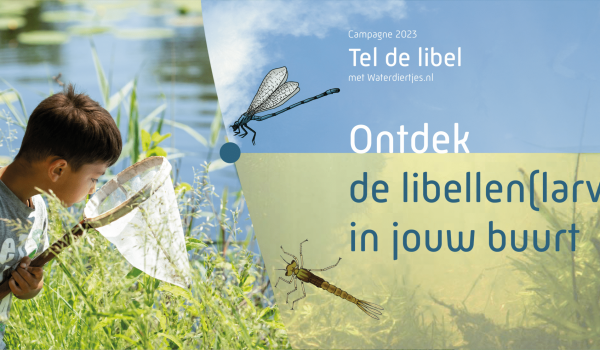 ontdek in jouw buurt2