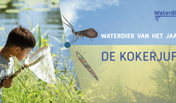 waterdier 2024 kokerjuffer